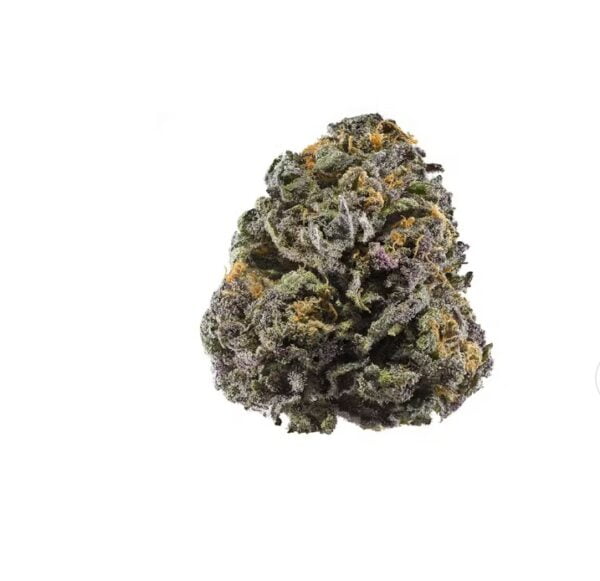 Buy Grand Daddy Purple in Paris